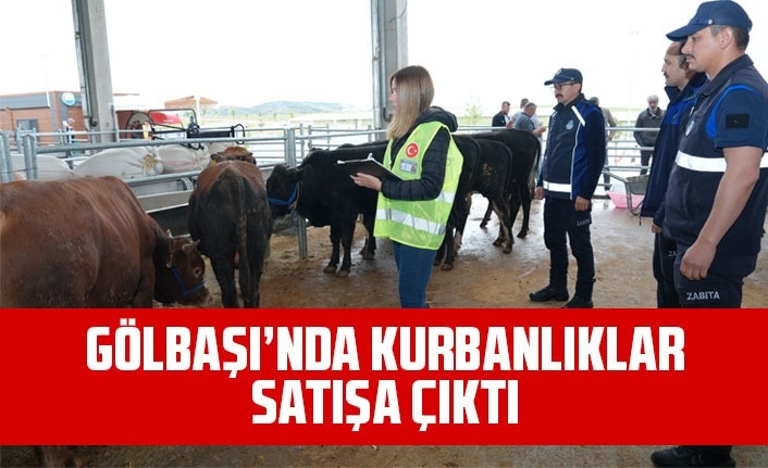 Gölbaşı'nda kurbanlıklar görücüye çıktı