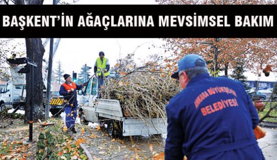 BAŞKENT’İN AĞAÇLARINA MEVSİMSEL BAKIM