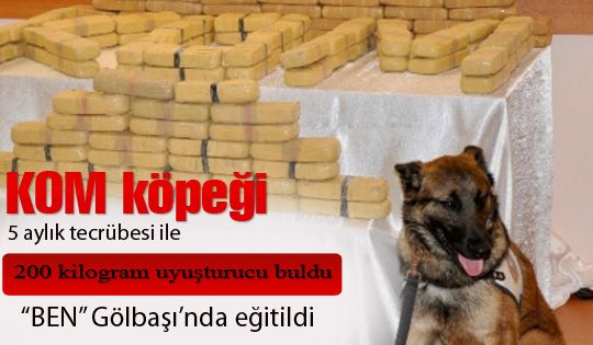 KOM köpeği 