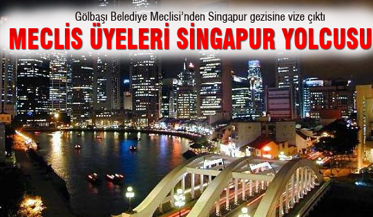 Meclis Üyeleri Singapur Yolcusu