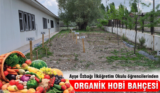 Öğrencilerden Hobi Bahçesi