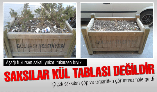 Saksılar kül tablası değildir