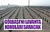 Başkent'i lavanta kokuları saracak!