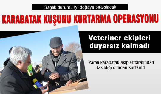 Yaralı karabatak kuşunu kurtarma operasyonu