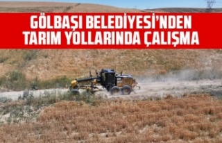 Tarım yollarında çalışma