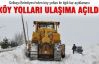 Köy yolları ulaşıma açıldı