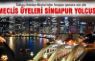 Meclis Üyeleri Singapur Yolcusu