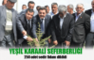 Yeşil Karaali seferberliği 