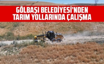 Tarım yollarında çalışma